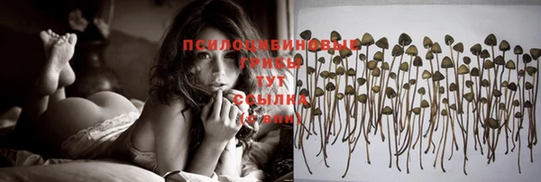 молекула духа Алексеевка