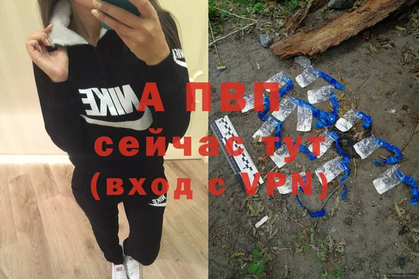 молекула духа Алексеевка
