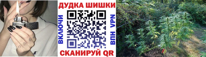 Канабис план Лахденпохья